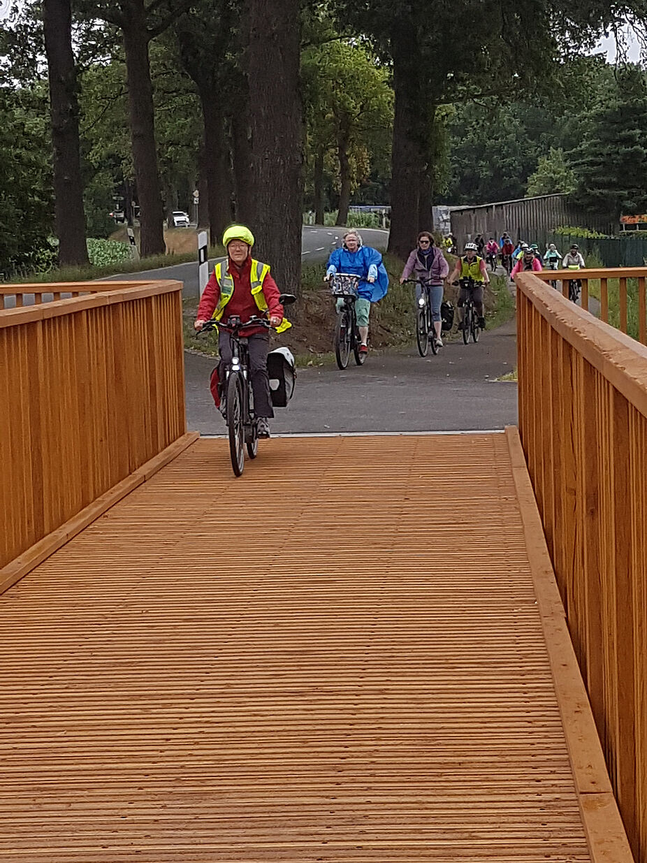 Im Nationalpark De Maasduinen